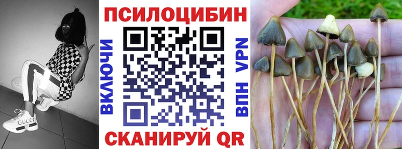 Псилоцибиновые грибы MAGIC MUSHROOMS  купить наркоту  МЕГА как войти  Поронайск 