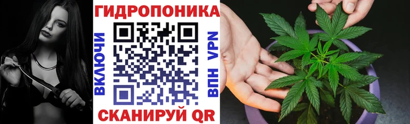 Бошки марихуана OG Kush  мориарти официальный сайт  Поронайск 